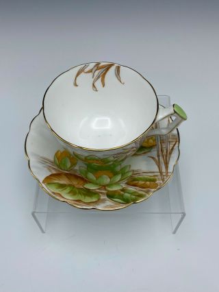 Aynsley Water Lily Cup & Saucer Pretty Design and Colors Gold Trim 2