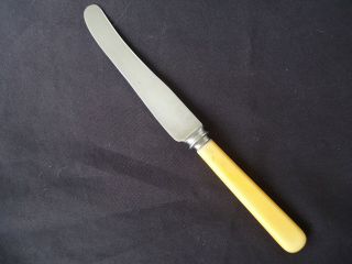 Vintage Antique Faux Bone Handle Dinner Knife 24cm Harrison Cutters Sheffield