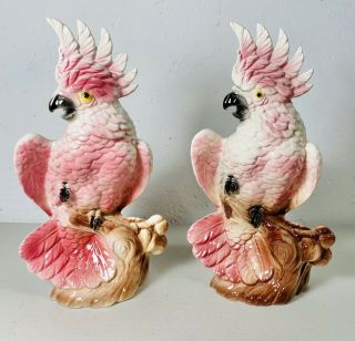 2 Vtg 1950s Maddux Pink Cockatoo Parrot Planter Figurine California Pottery Pair