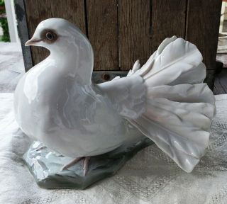F.  Heidenreich Rosenthal Porcelain Dove Bird Figurine - Signed