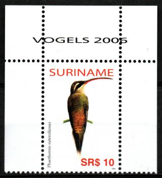 Suriname 2006 - Birds / Long Tailed Hermit Mnh