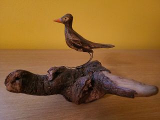 Vintage Antique Primitive Folk Art Hand Carved Wood Bird On Burl Wood