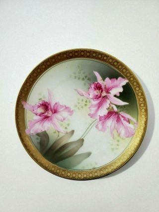 Reinhold Schlegelmilch Rs Germany Floral Plate Gold Rim