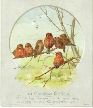 Alice West Artist Victorian Christmas Greetings Card Birds Hildesheimer Faulkner