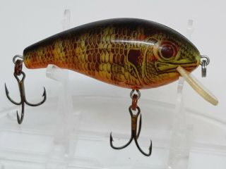 Vintage Rebel Wee R Shallow {naturalistic Perch} Old Plug Lure Bait A00