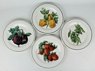 Set Of 4 Williams Sonoma Harvest Vegetable Salad Plates - Peas,  Eggplant,  Tomato