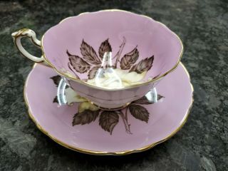 Paragon Purple Cup W/ Large Ivory Rose And Black Leaf Gold Tea Cup & Saucer