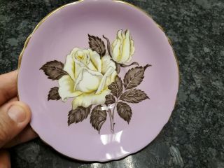 Paragon Purple cup w/ large Ivory rose and black leaf gold tea cup & saucer 3
