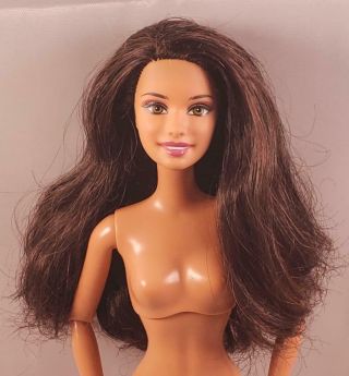 2010s Barbie Fashionistas Latinx Teresa Summer Brunette Hazel Eyes Jointed Doll