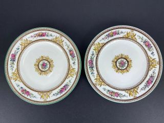 6 Wedgwood Columbia W595 White Bone China Yellow Griffins Salad Lunch Plates 8 "