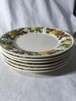Set Of Six Dinner Plates Vintage/mid Century Vernon Ware Poppytrail 10.  5 “.  2d