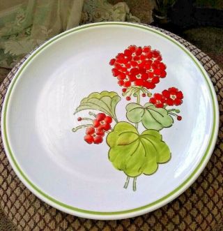 Set Of 4 Vintage Metlox Geranium Poppy Trail Dinner Plates 10.  75 "
