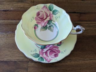 Paragon Large Cabbage Floating Pink Rose Yellow Teacup Tea Cup Saucer