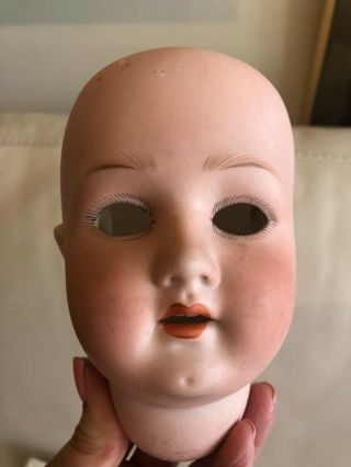 Antique German Bisque Doll Head Heubach Koppelsdorf 250/4 Germany