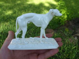 Vintage Nymphenburg 128 White Porcelain Greyhound Dog Figure Pj Mene Chipped Ear