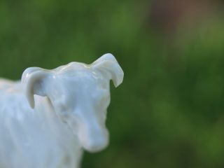 Vintage Nymphenburg 128 White Porcelain Greyhound Dog Figure PJ Mene Chipped Ear 3