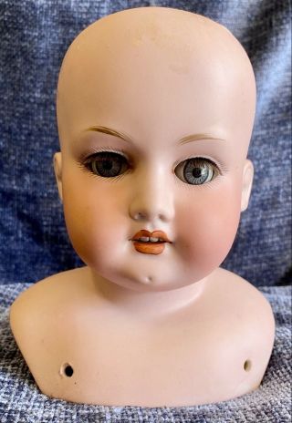 Antique German Early Shoulderhead Doll Head With Sleep Eyes Am 370