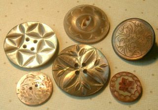 5 Antique Vintage Fancy Carved Floral Tinted Mop Smokey Abalone Shell Buttons