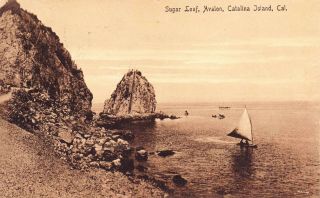 Sugar Loaf,  Avalon,  Catalina Island California C1909 Antique Postcard F18