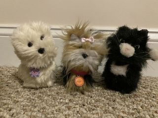 American Girl Licorice Cat Coconut Dog Sugar Dog Terrier With Collars And Tags