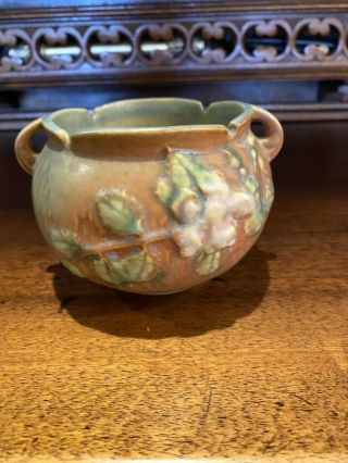 Vintage Roseville Pottery White Rose Jardiniere 653 - 3” Brown & Green