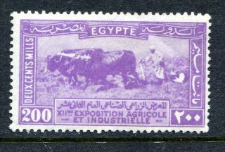 Egypt 1926 Agricultural & Industrial Exhibition 200m Top Value Slight Fault