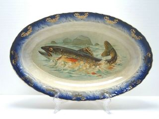 Antique Vintage Cobalt Blue And Gold Edged Trout Fish Platter