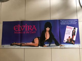 Elvira Mistress Of The Dark Video Film Shop Poster 1988 46” X 16”