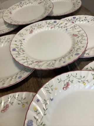 Set Of 9 Johnson Bros Brothers 10.  5” Summer Chintz Dinner Plates England Floral