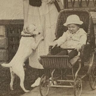 Antique Vintage Sepia Snapshot Photo Family Man Woman Terrier Dog Baby 3