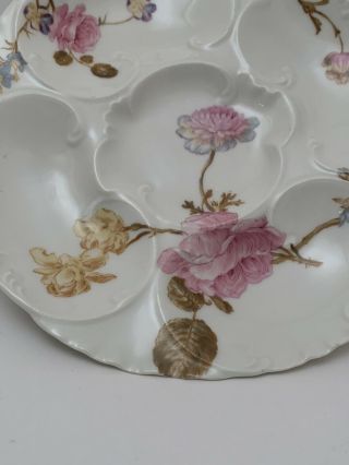 Antique French Porcelain Floral Oyster Plate.  H&C /L Haviland Limoges France.  NR 2