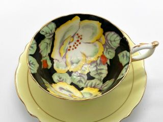 Vintage Paragon Yellow Cup And Saucer Cabbage Roses On Black Double Warrant