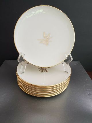 8 Vintage Lenox China Wheat Bread & Butter Plates R - 442 Gold Trim 6 1/4 "