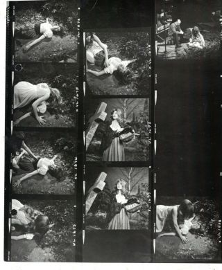 Hammer Horror Vampire Lovers Contact Sheet Small Pictures