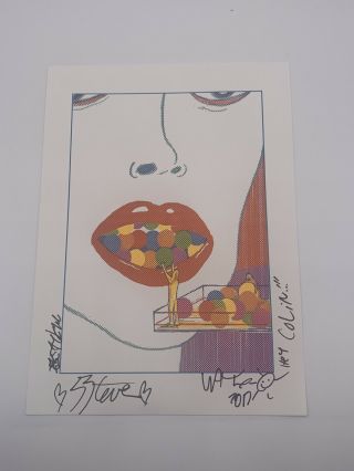 The Flaming Lips Print Signed 2017 Tour Lithograph Wayne Coyne