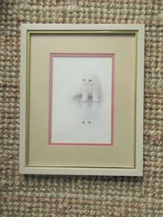 White Cat And Its Reflection Framed Print By Bob Harrison Vintage Retro