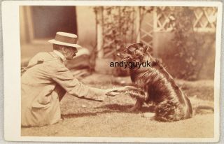 Cabinet Card Flat Coated Retriever Dog Holding Up Paw Lowndes Cheadle Photo