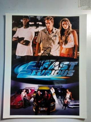 Paul Walker " The Fast And The Furious " Authentic Autograph 8 X 10 Photo