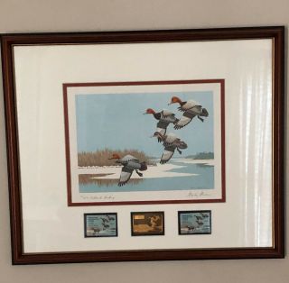 Maryland Md - 5 Redheads Landing State Duck Stamp Print Medallion Stanley Stearns