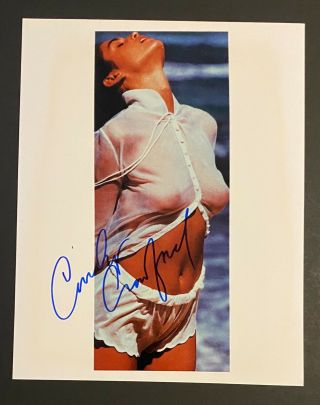 Cindy Crawford Signed Autographed 8x10 Photo
