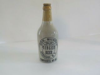Antique Stoneware Bottle Con.  Murphy English Brewed Ginger Beer Syracuse Ny
