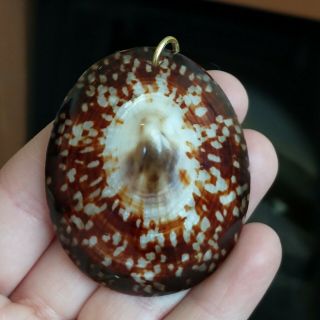 Vintage Brown Natural Sea Shell Art Necklace Charm Bead Nautical Beach Jewelry
