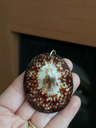Vintage Brown Natural Sea Shell Art Necklace Charm Bead Nautical Beach Jewelry 2
