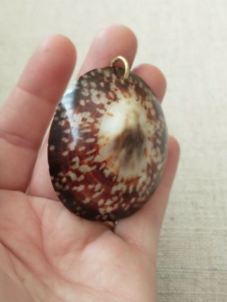 Vintage Brown Natural Sea Shell Art Necklace Charm Bead Nautical Beach Jewelry 3