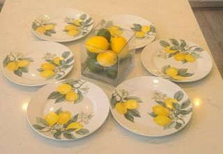 Set Of 6 Royal Norfolk Lemon Printed Ceramic Dinner Plates 10.  5 Summer