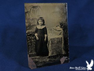 Antique Tintype Photo Portrait Little Girl Lace Collar Cuffs Very Sweet