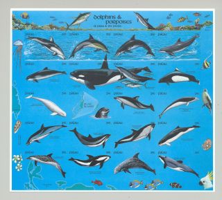 Palau 289 Whales,  Dolphins & Porpoises 1v.  M/s Of 20 Imperf Proof