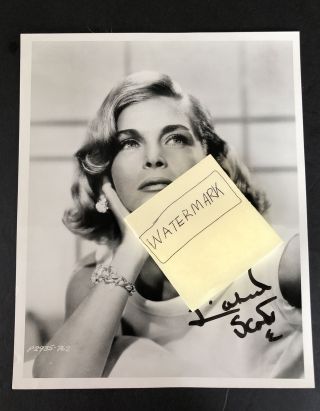 Vintage Hollywood Lizabeth Scott Autographed Photo Looking Into The Sky