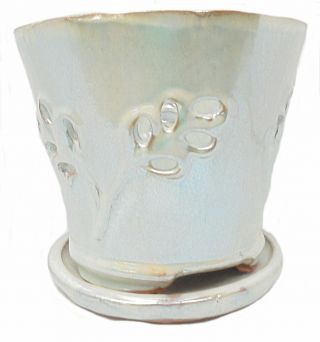 Olive Branch 7 Inch Orchid Pot