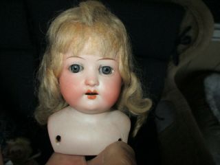 3 3/4 " Tall Antique German Doll Head Only